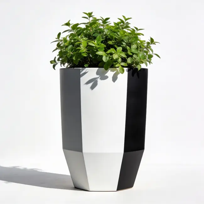 Vaso de Plantas